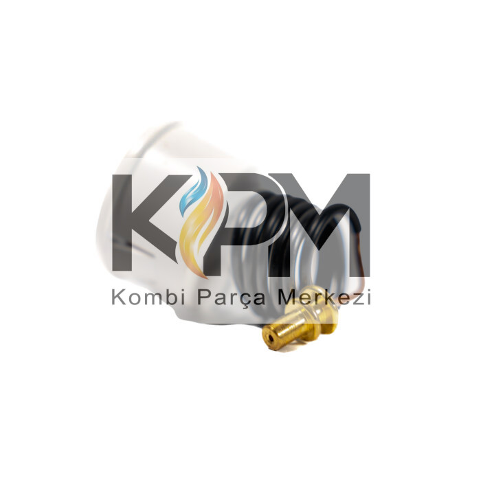 Eca Proteus Kombi Basınç Göstergesi -4